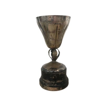 Trophy6