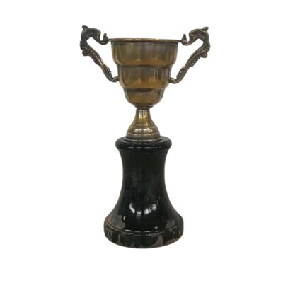 Trophy8