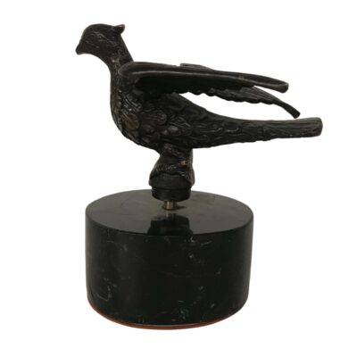 Figura 5