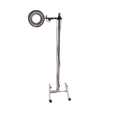 Floor lamp spotlight