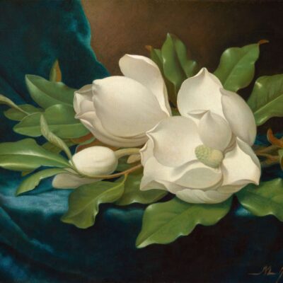 Cuadro de Martin Johnson Heade. 06847