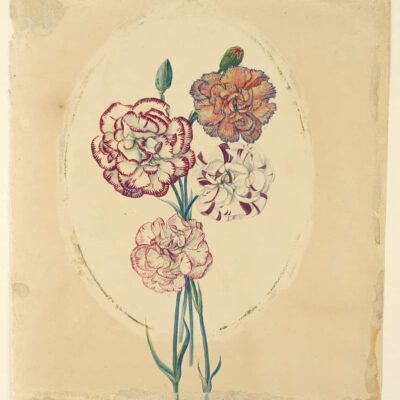 Cuadro de Cooper Hewitt. 06851