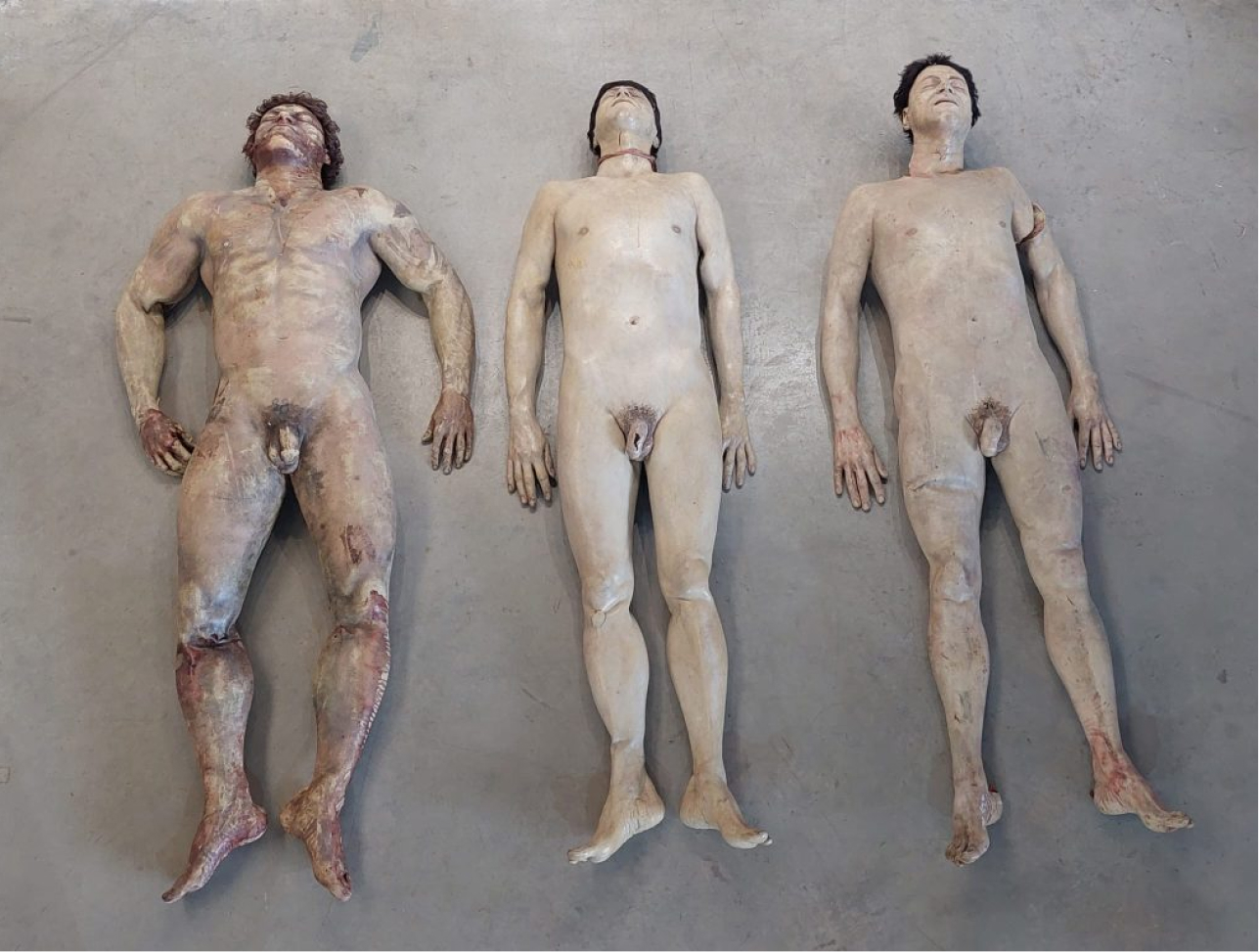 dummies humans