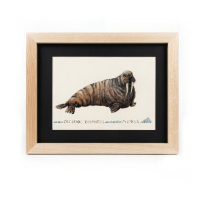 Picture part of the Fauna Ilustrada Collection, by Javier Fernández. Intellectual property and exploitation rights held by Set Services. 10946